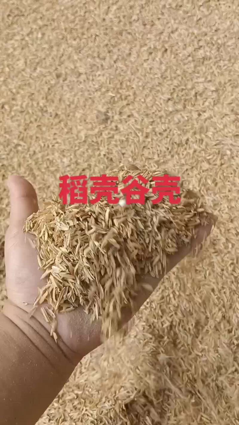 河南南阳蘑菇种植压缩稻壳
