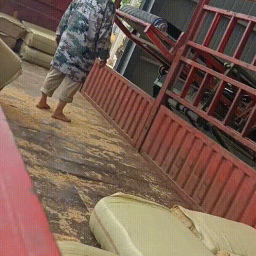 黄冈菌种种植
