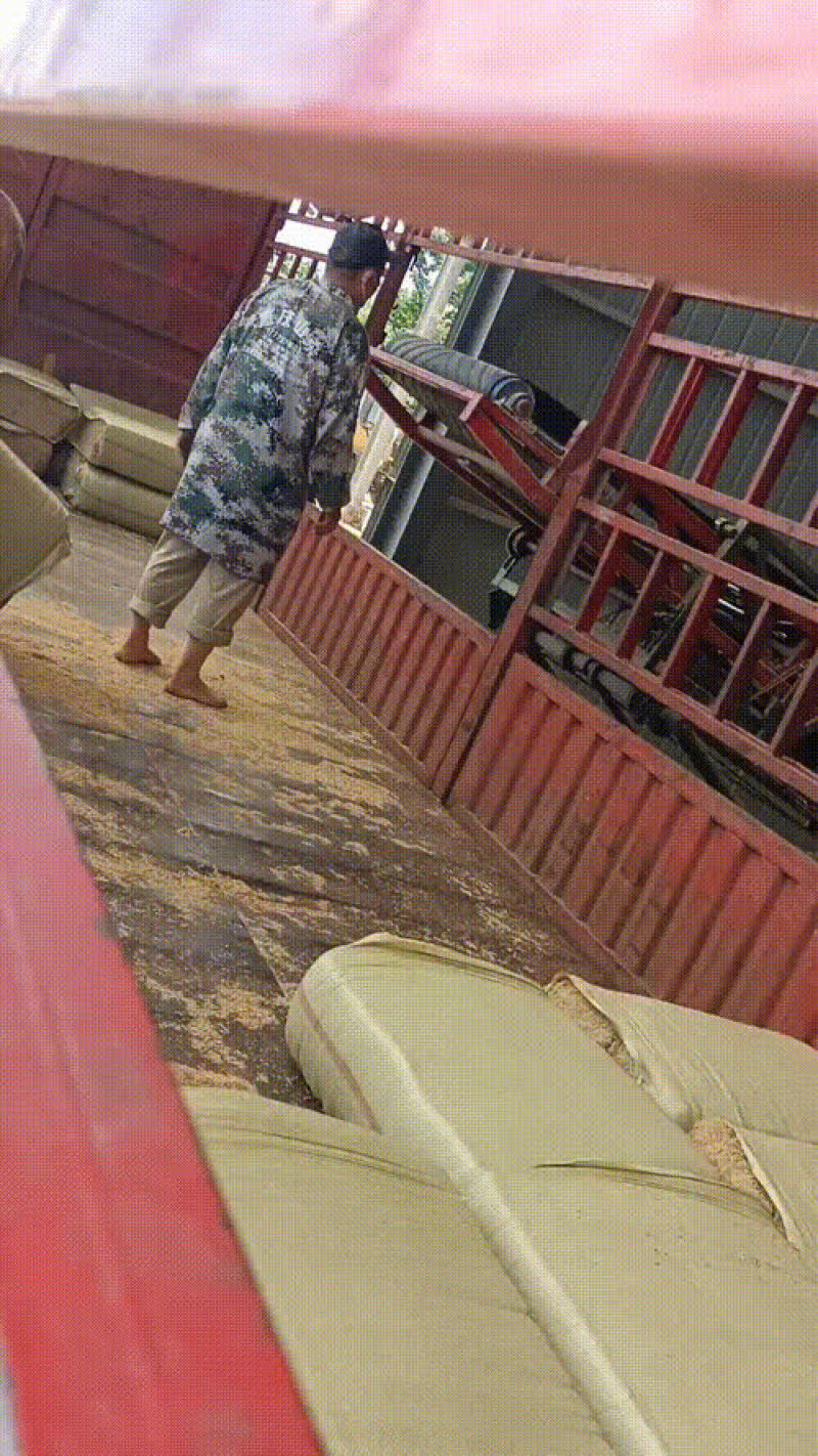 黄冈菌种种植