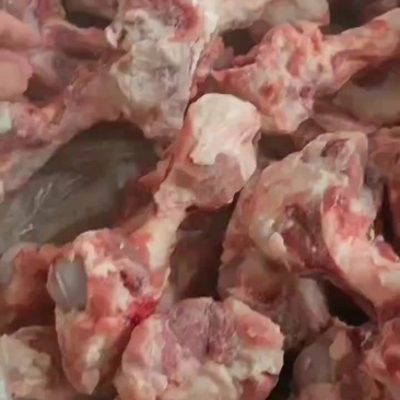 超值前腿骨