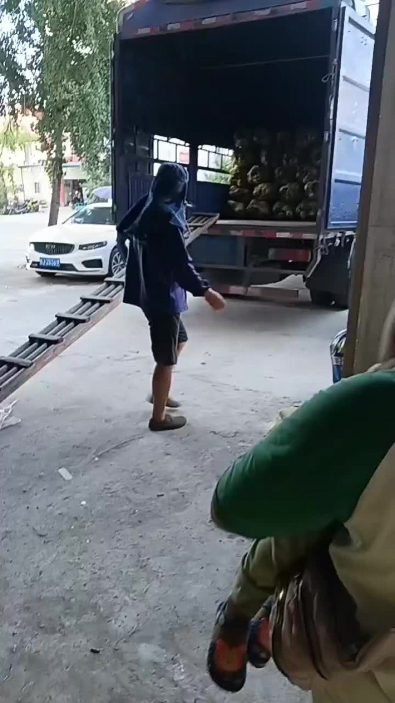 高品质香芋南瓜，个头大，品相好，香芋味浓