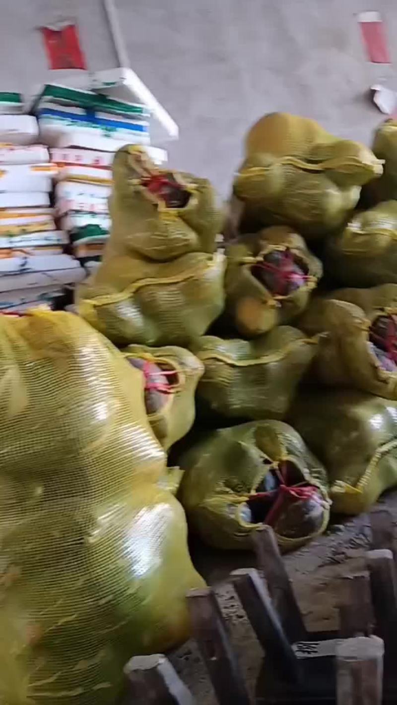 高品质香芋南瓜，个头大，品相好，香芋味浓