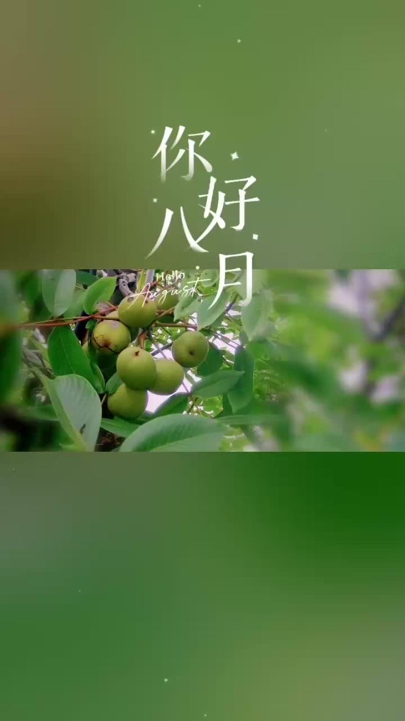 四川大凉山正宗山核桃
