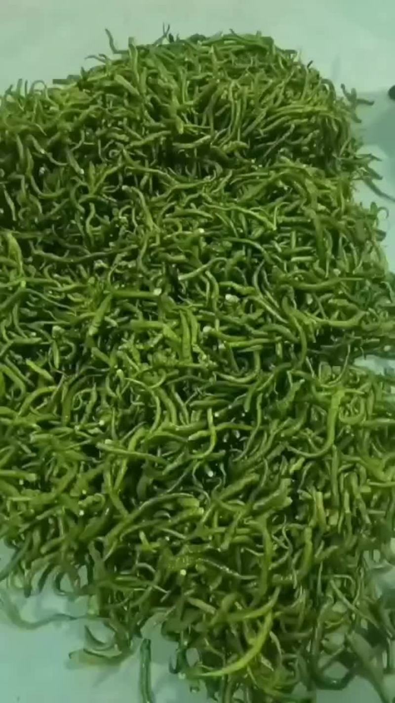 电商八号椒