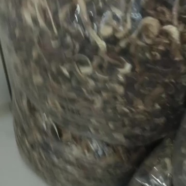 东北大腿磨干片