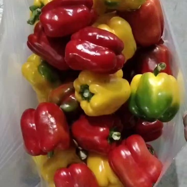 通货，彩椒，赶大集，