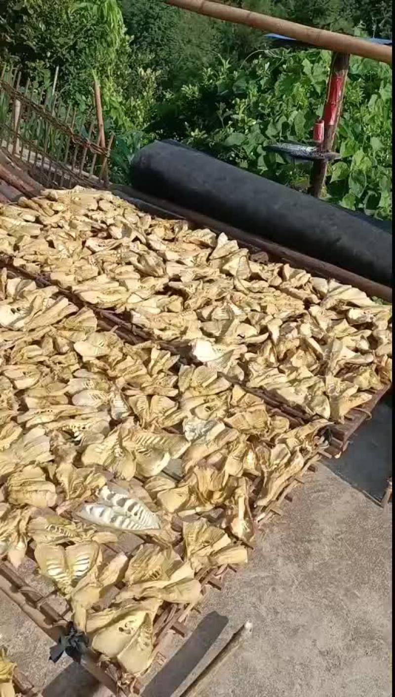 笋干