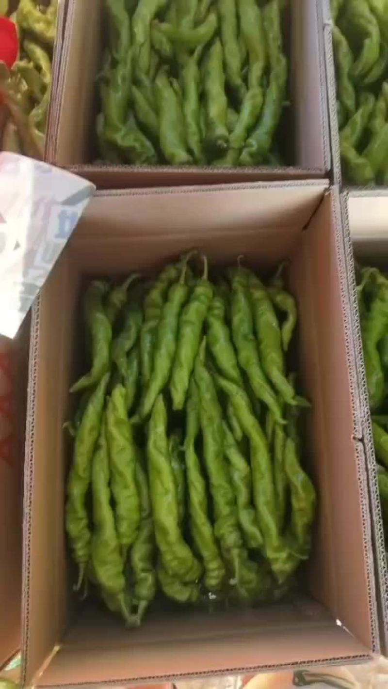 精品陇椒螺丝椒