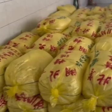 豆渣