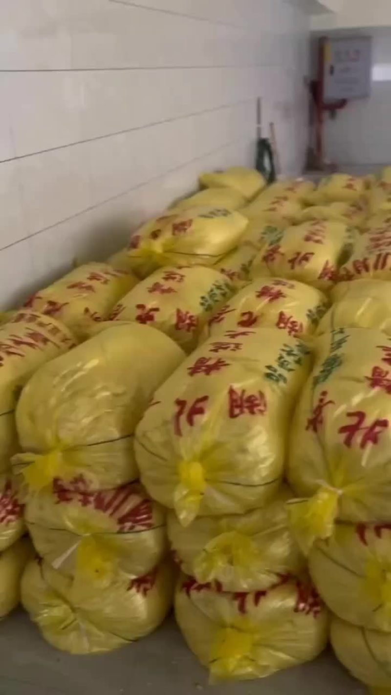 豆渣