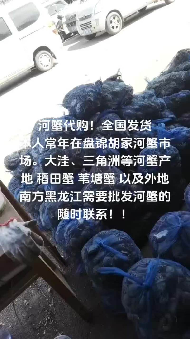 盘锦河蟹