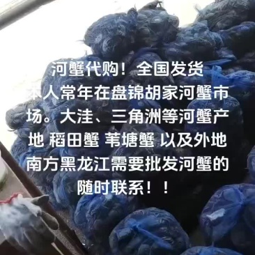 盘锦河蟹
