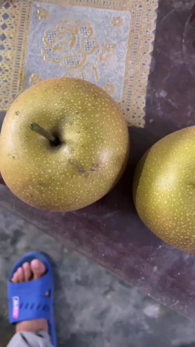 秋月光果