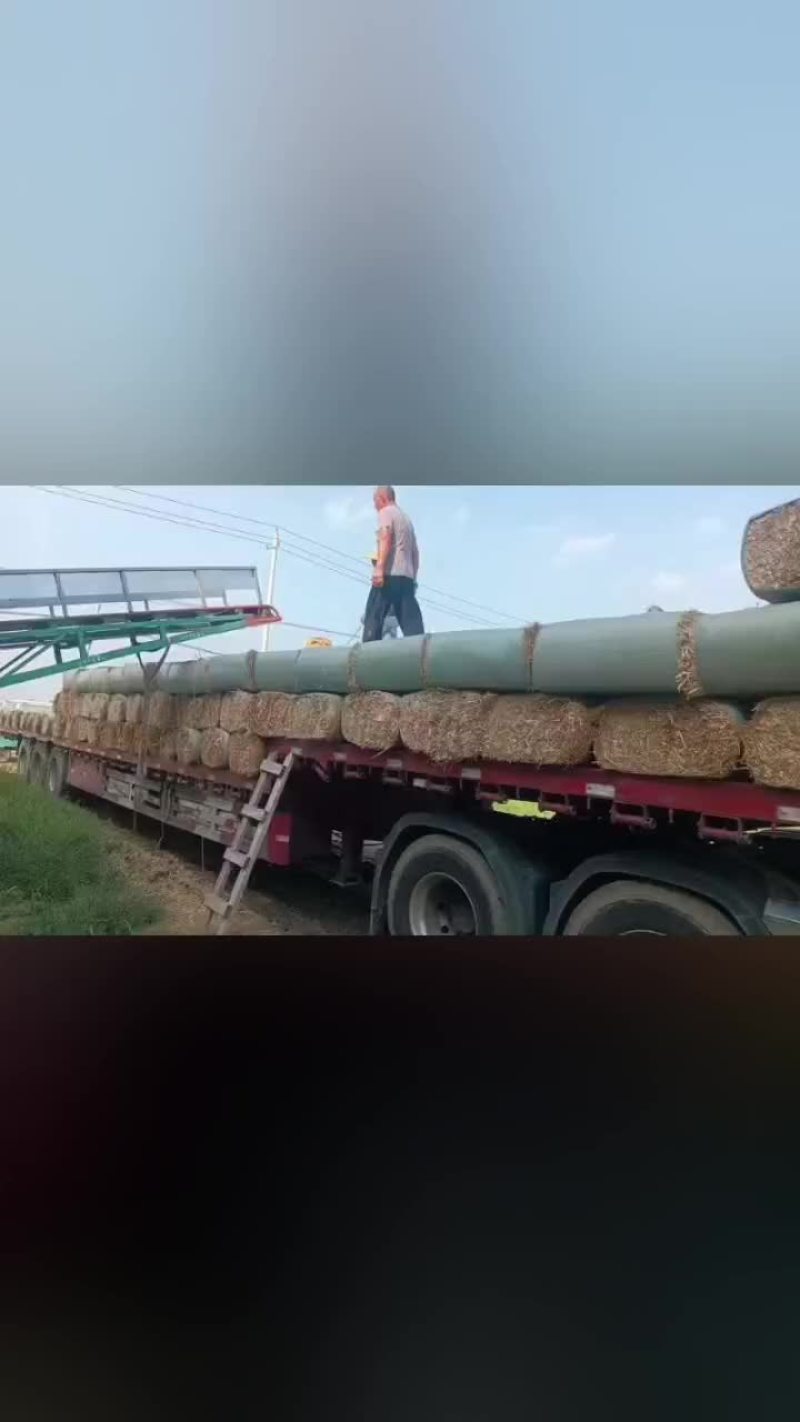 小麦秸秆