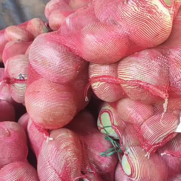 串玲冬瓜