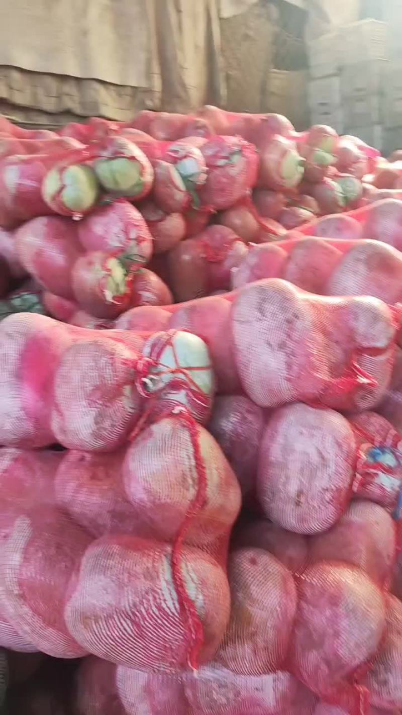串玲冬瓜