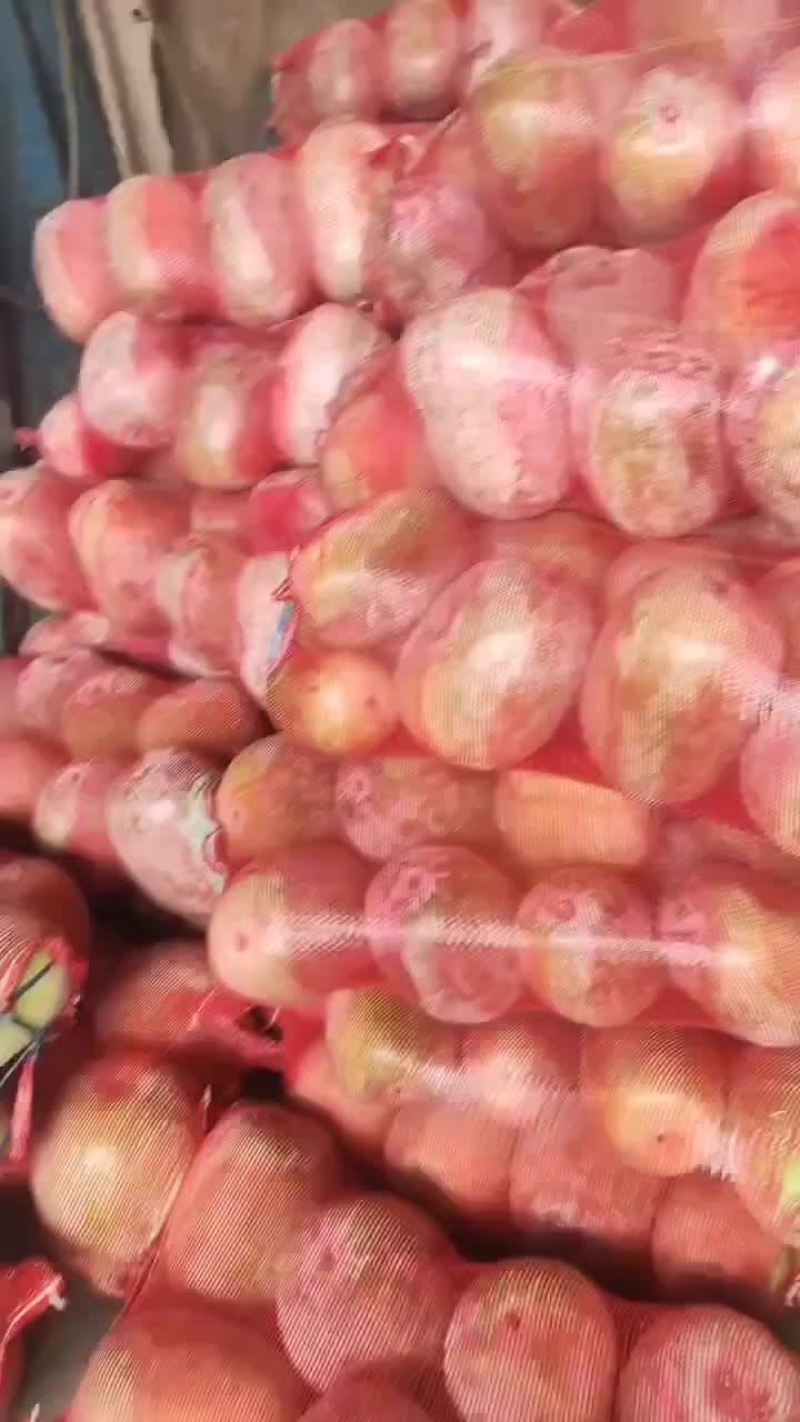 串玲冬瓜
