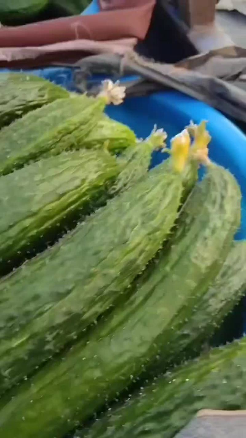 天气要爆炸了，今天温度高黄瓜量也少了