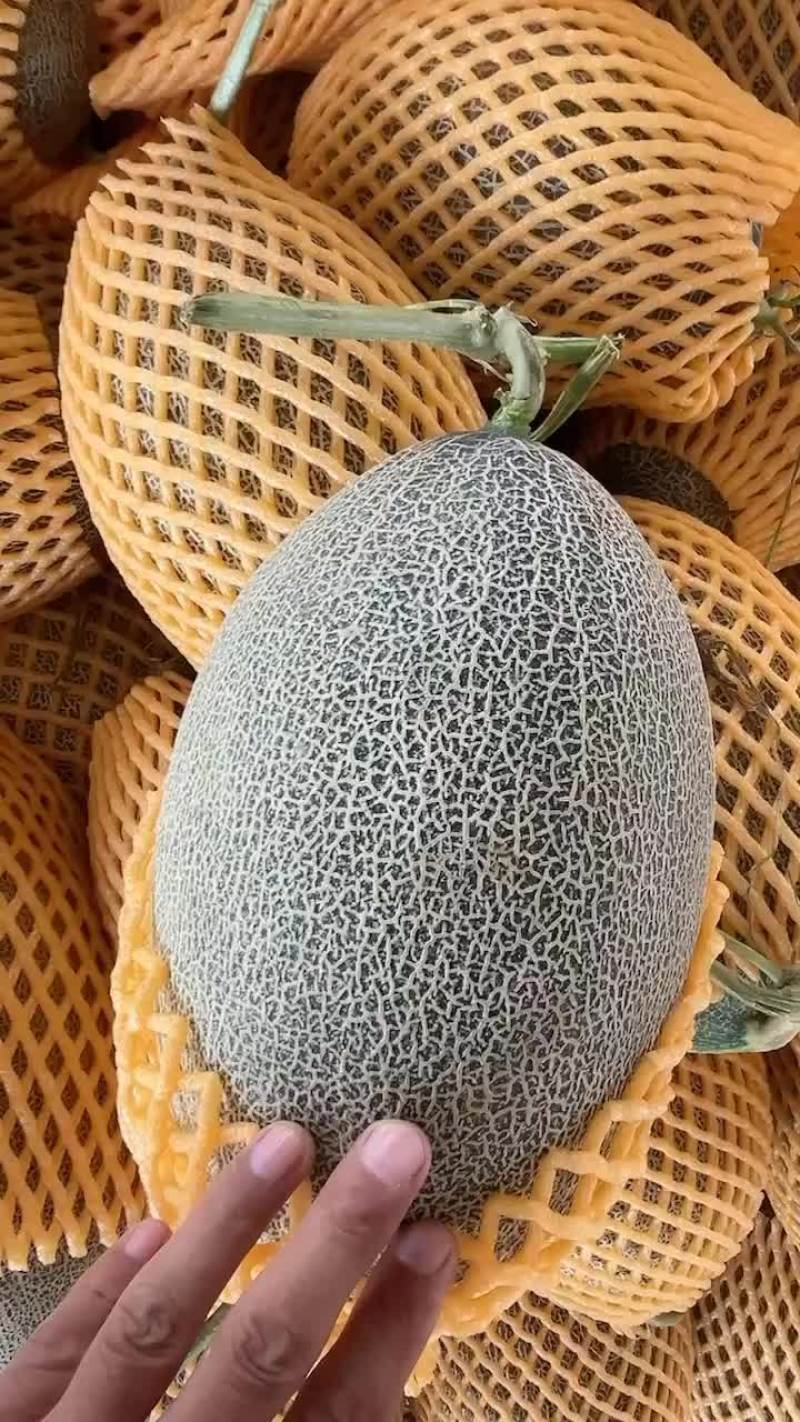 西周蜜