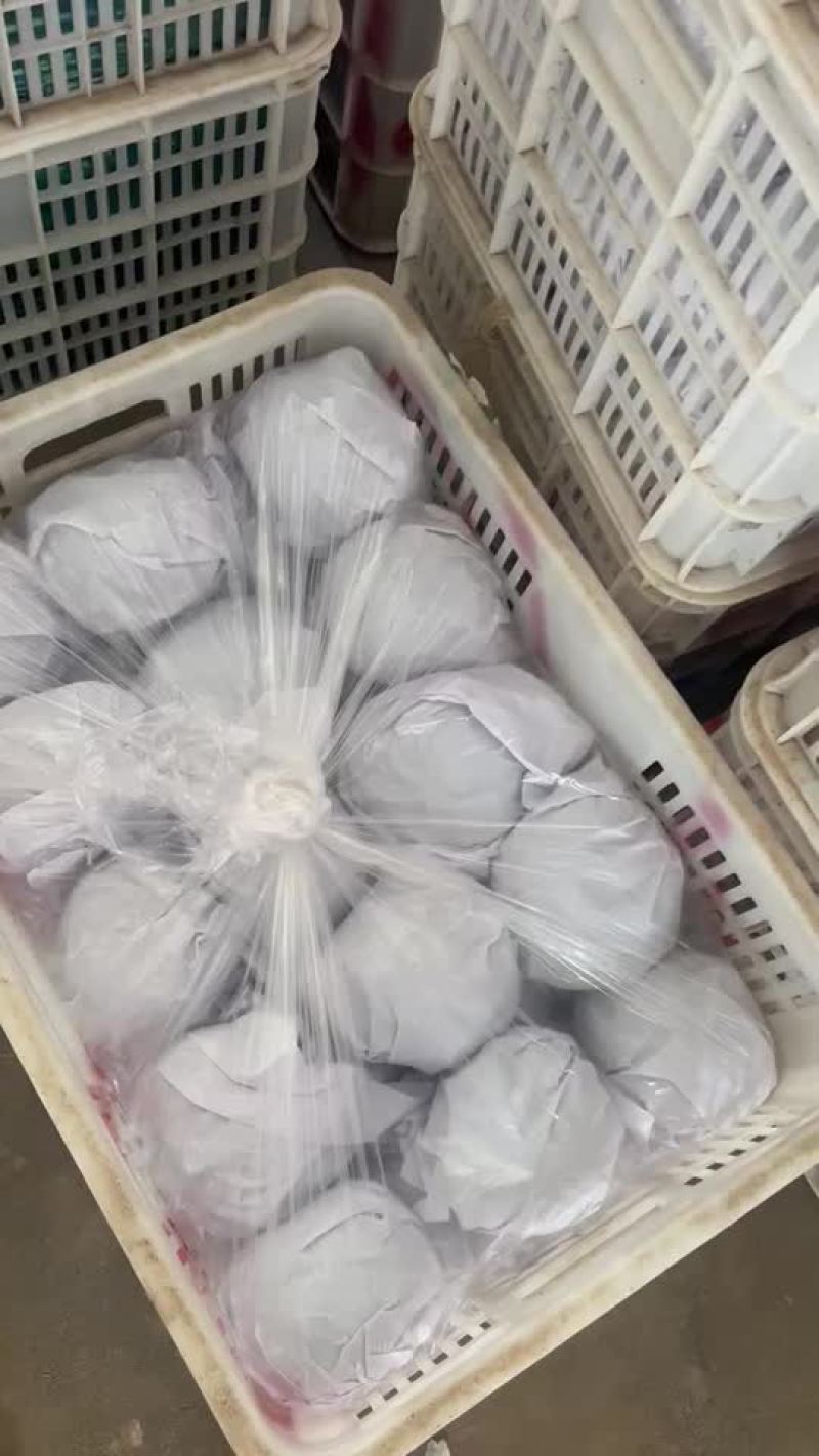 大量紫光圆茄现货，质量优良