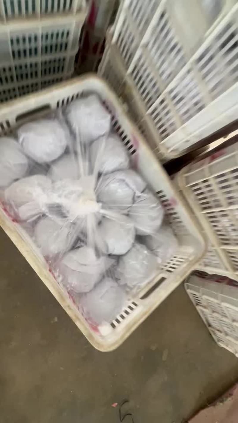 大量紫光圆茄现货，质量优良