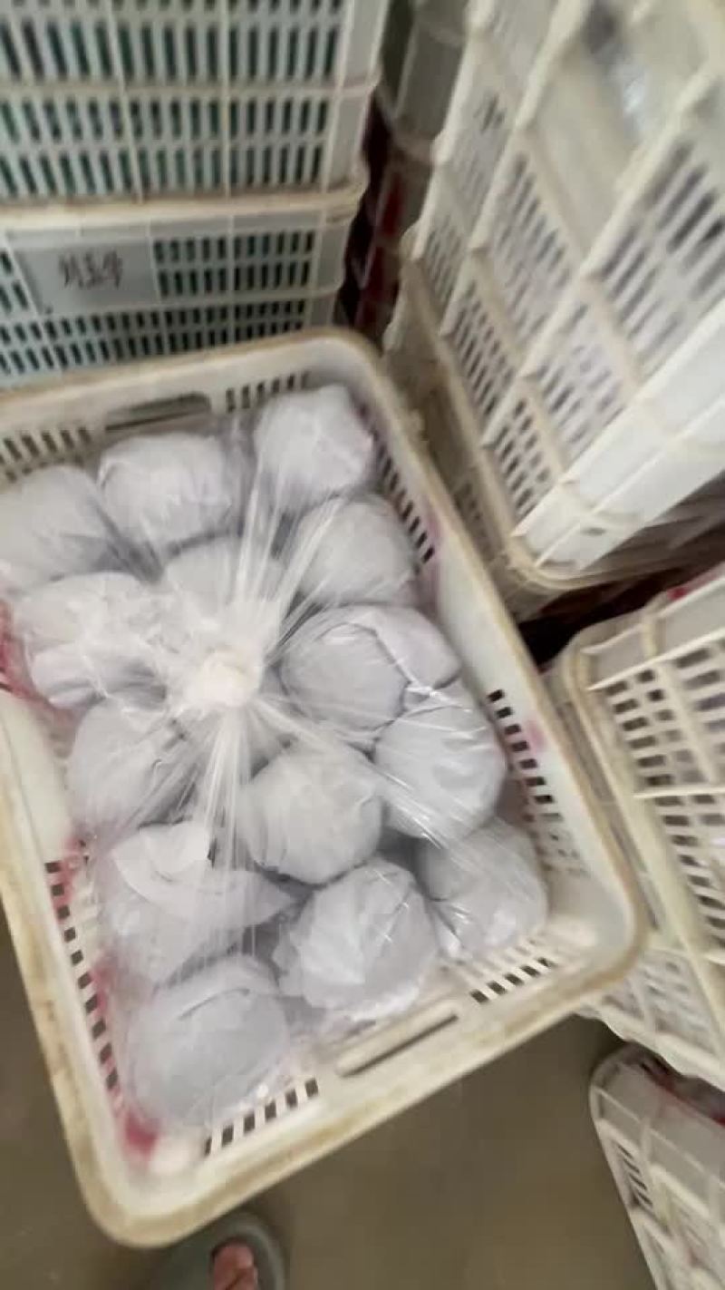 大量紫光圆茄现货，质量优良