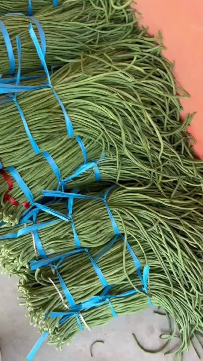 精品长豆角大量上市中