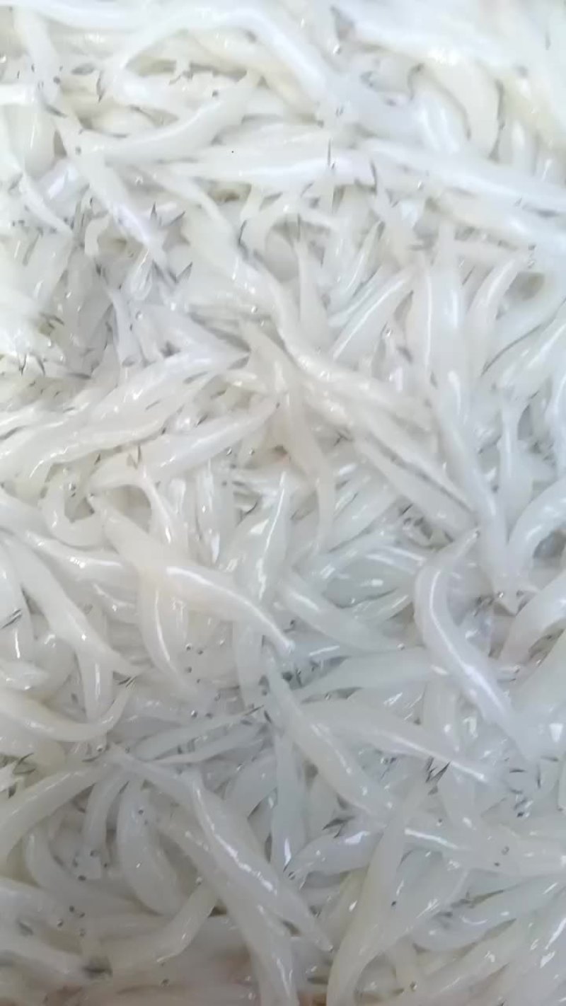 质量嘎嘎好，肥条。