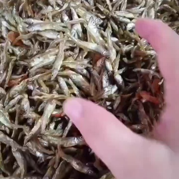 油炸公鱼，3-4公分左右，全干，不苦的