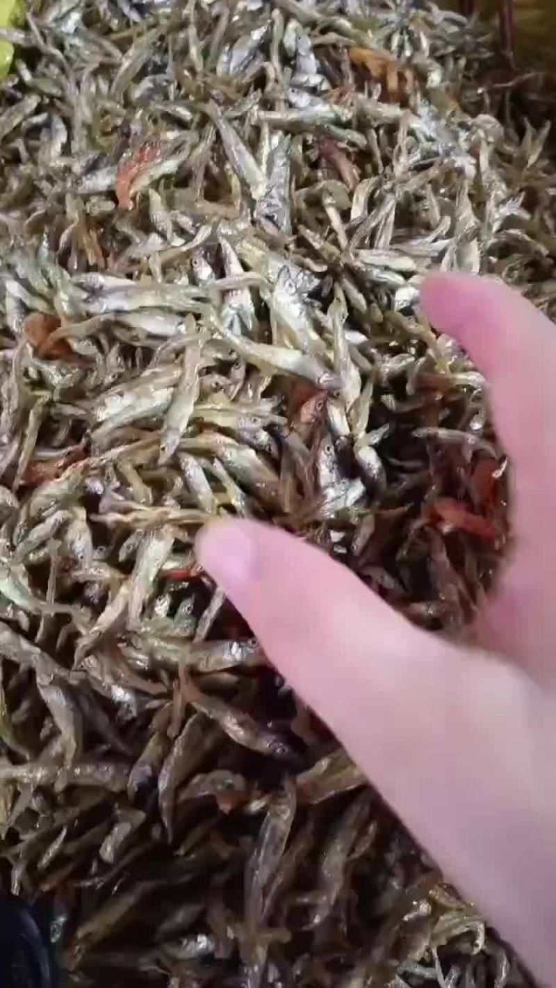 油炸公鱼，3-4公分左右，全干，不苦的