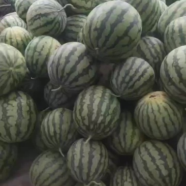 美都跑滕二茬