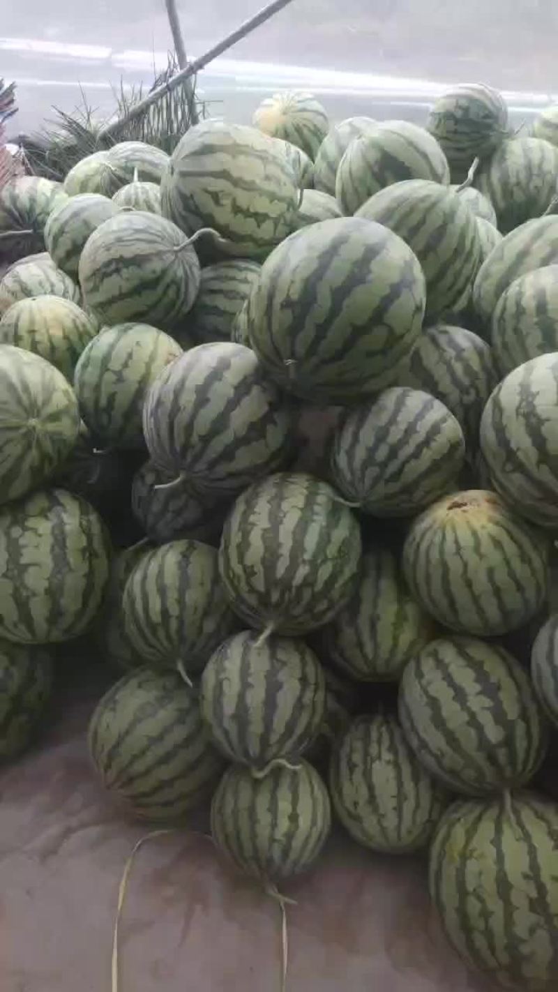 美都跑滕二茬