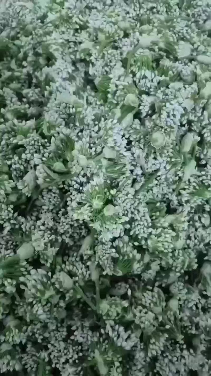 韭菜花