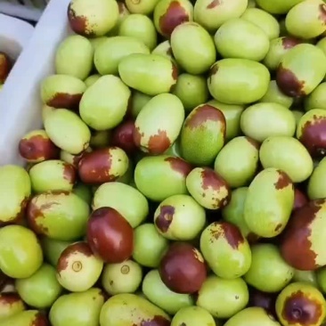 鸡心枣