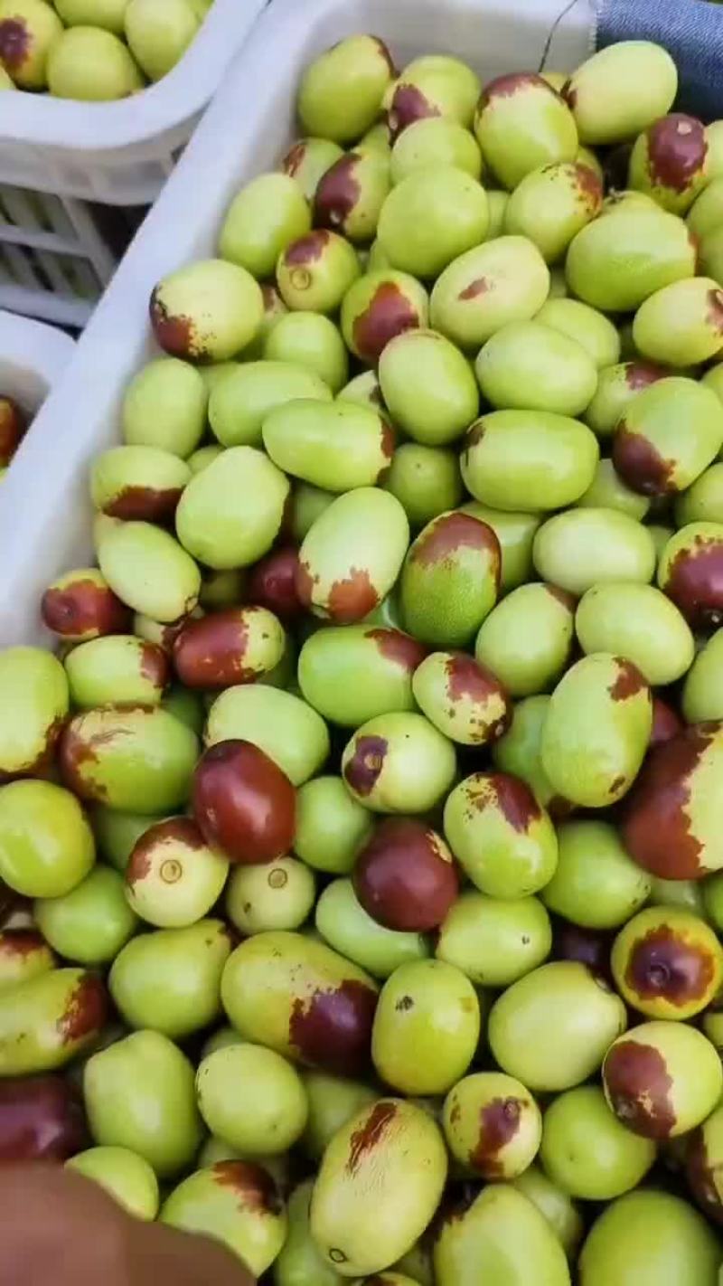 鸡心枣