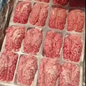 猪脑一箱96个​