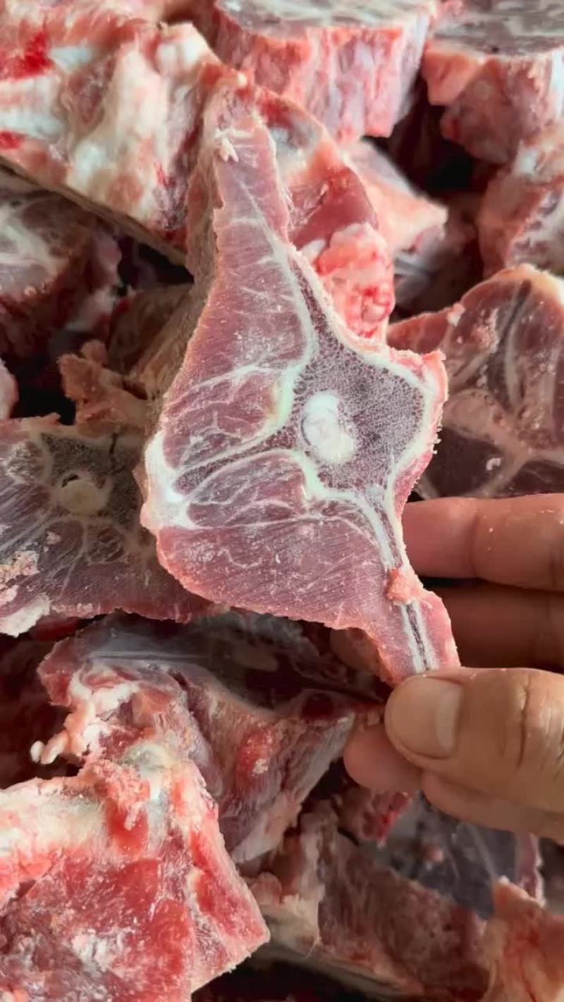 羊大梁精品羊大梁欢迎各地客商合作洽谈业务