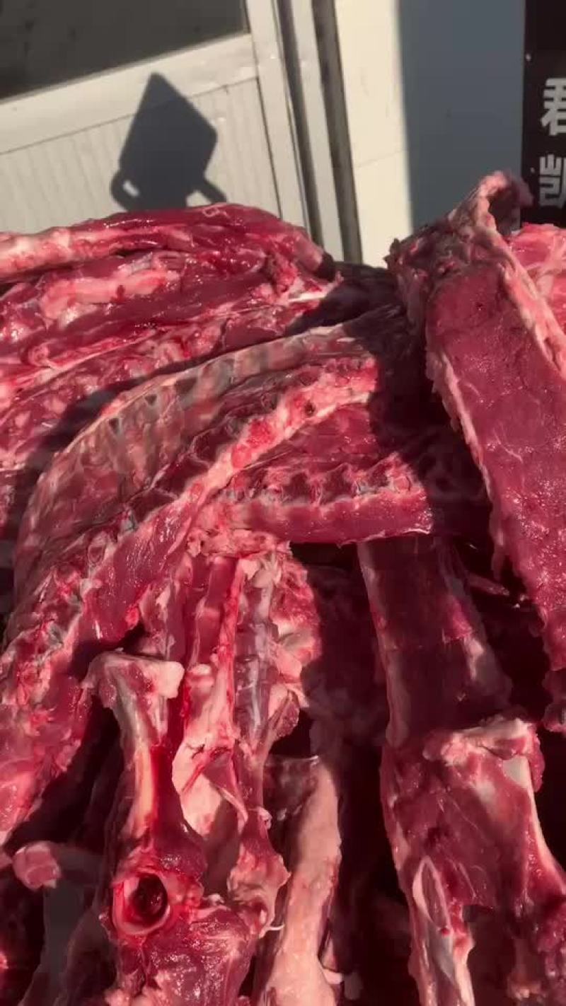 羊大梁精品羊大梁欢迎各地客商合作洽谈业务