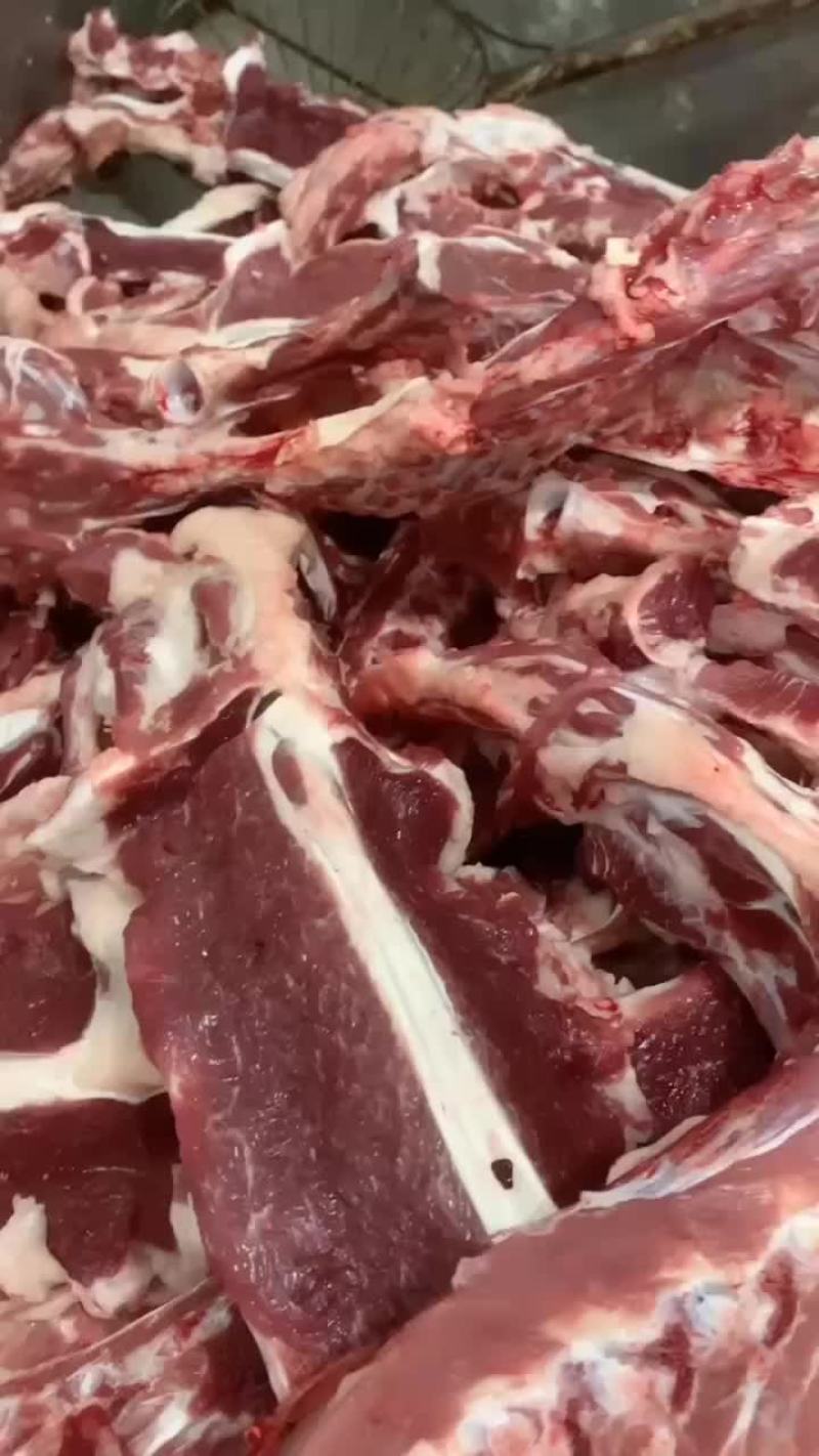羊大梁精品羊大梁欢迎各地客商合作洽谈业务