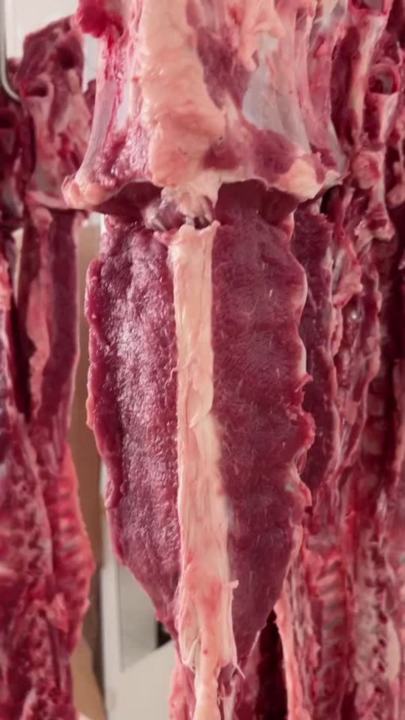 羊大梁精品羊大梁欢迎各地客商合作洽谈业务