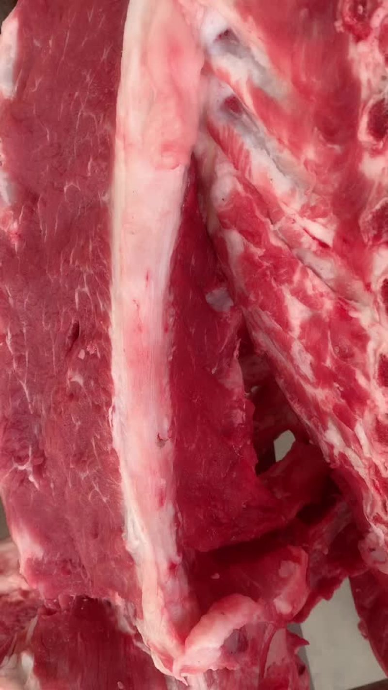 羊大梁精品羊大梁欢迎各地客商合作洽谈业务