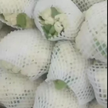 有机花菜
