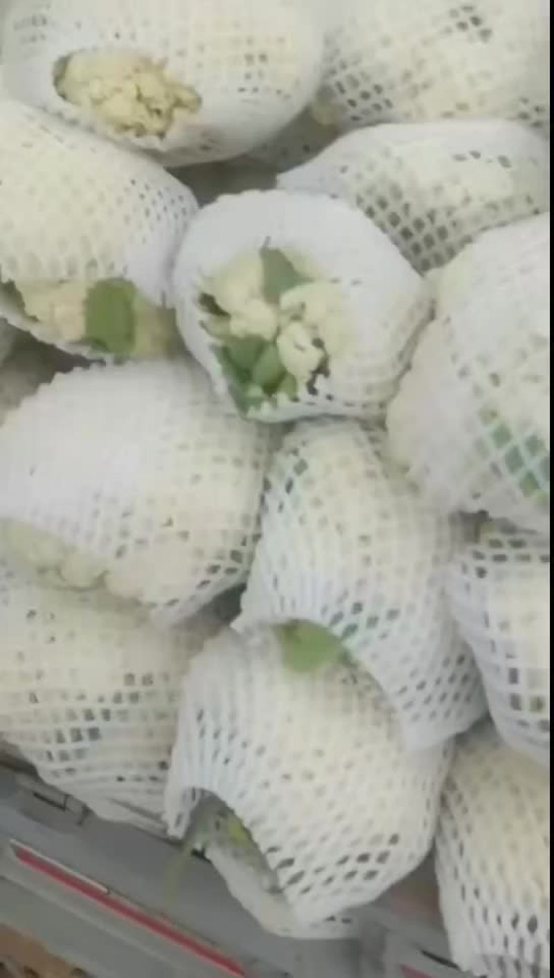 有机花菜