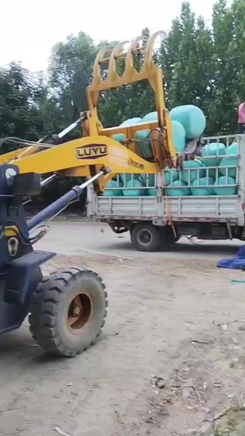 黄贮，打包黄储，散装黄贮。基地直发，可供，大型牛场。