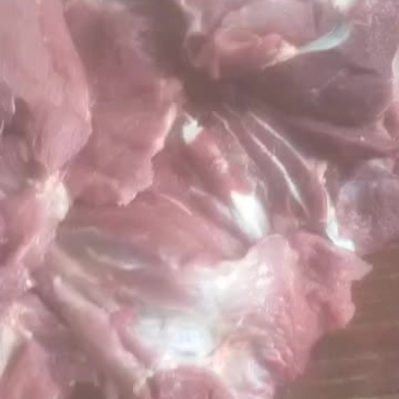 猪瘦肉