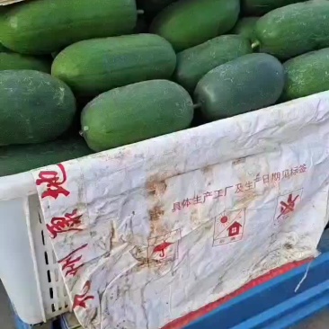 水果冬瓜