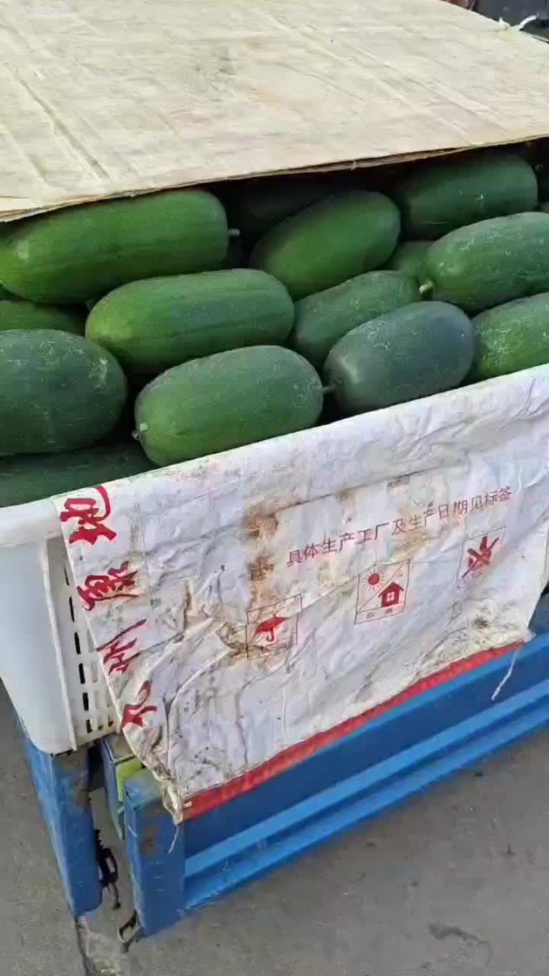 水果冬瓜