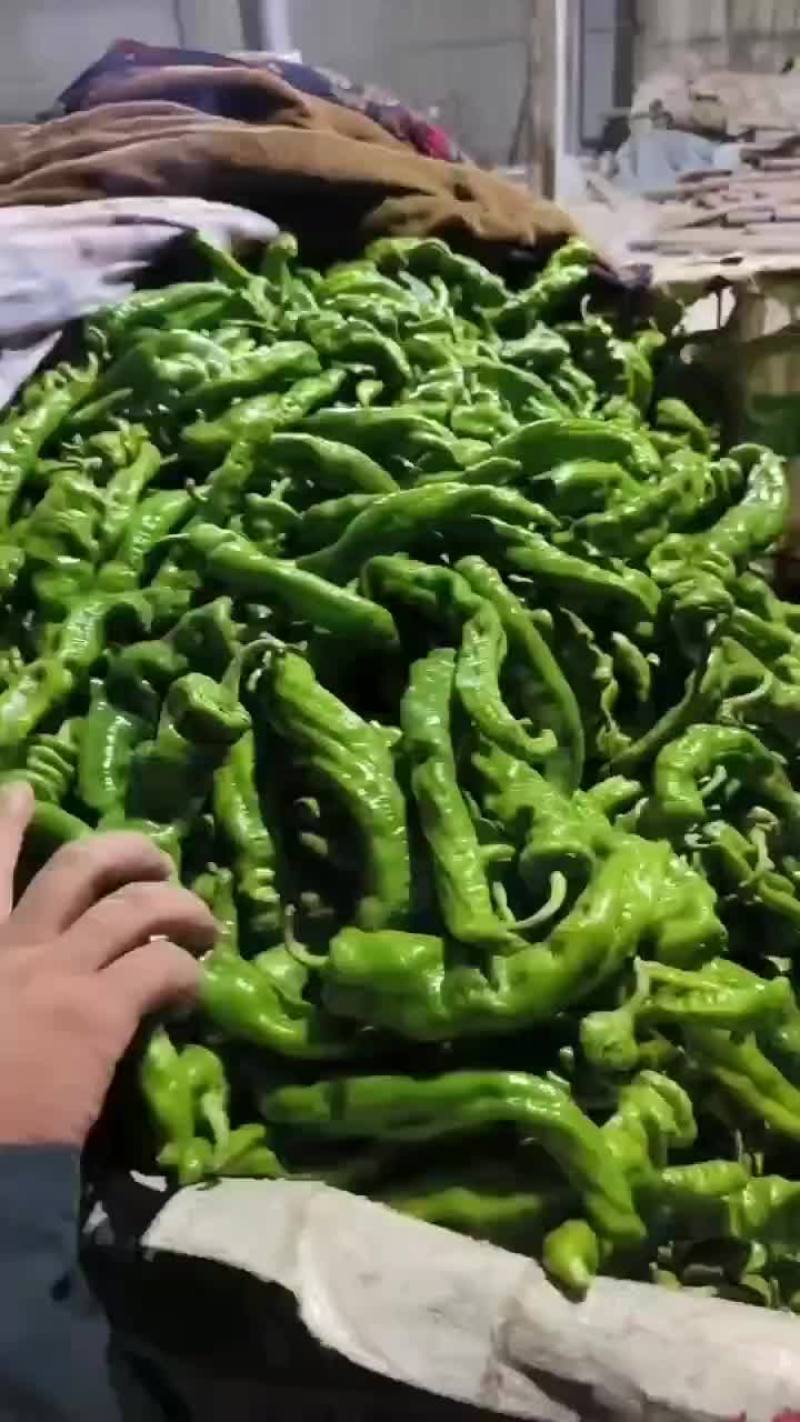 辣椒