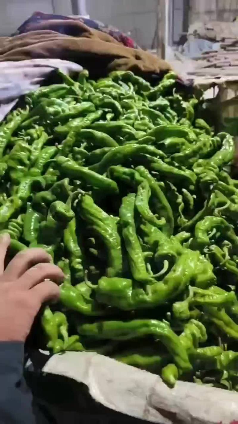 辣椒