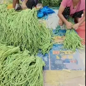 豆角